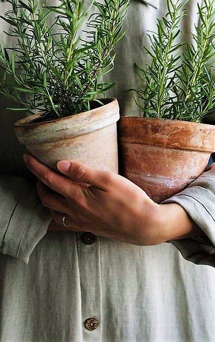 Close up of woman holding 2 pot plants in ceramic holders